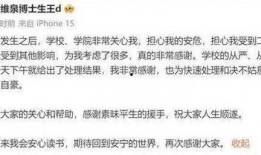 嵩县大事件爆料信息最新,揭秘神秘事件背后的真相！